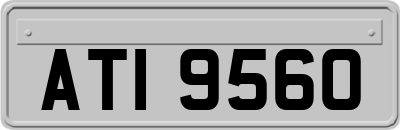 ATI9560