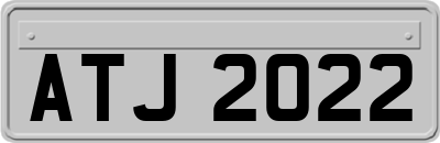 ATJ2022