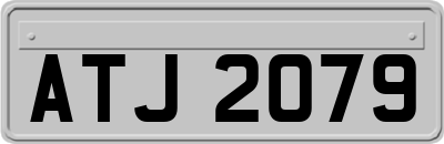ATJ2079