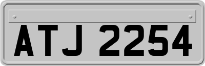 ATJ2254