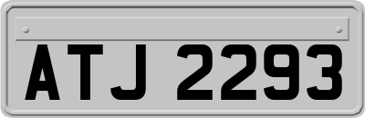 ATJ2293