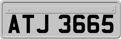 ATJ3665
