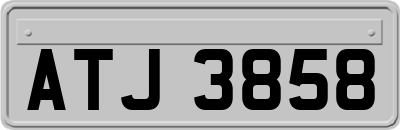 ATJ3858