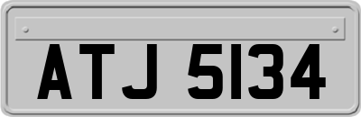 ATJ5134