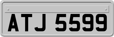 ATJ5599