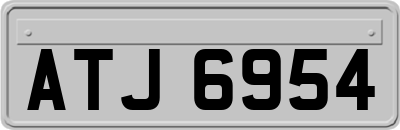 ATJ6954