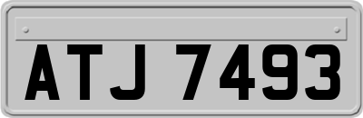 ATJ7493