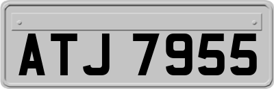 ATJ7955