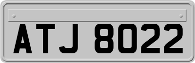 ATJ8022