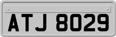ATJ8029