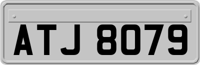 ATJ8079