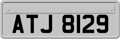 ATJ8129