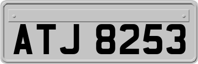ATJ8253