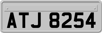 ATJ8254