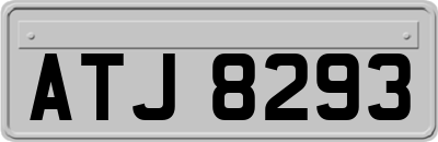 ATJ8293