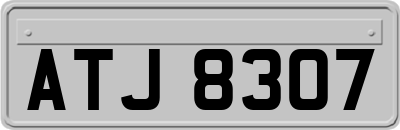 ATJ8307