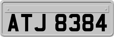 ATJ8384