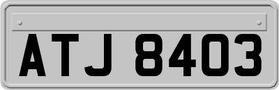 ATJ8403