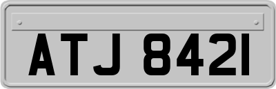 ATJ8421
