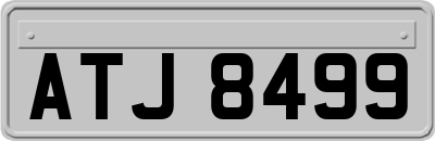 ATJ8499