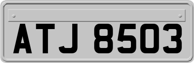 ATJ8503