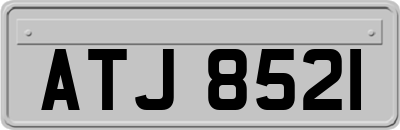 ATJ8521