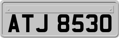 ATJ8530
