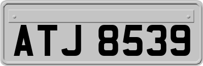 ATJ8539