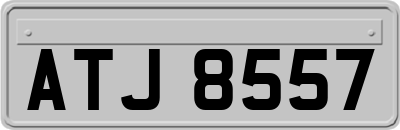 ATJ8557