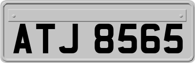 ATJ8565