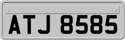 ATJ8585
