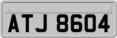 ATJ8604