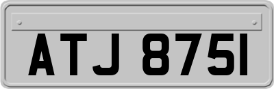 ATJ8751