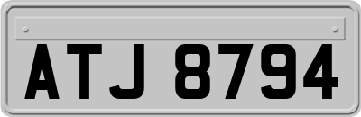 ATJ8794