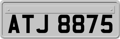ATJ8875