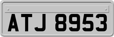 ATJ8953
