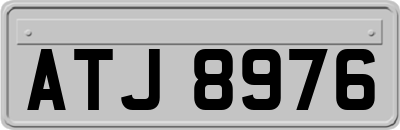 ATJ8976