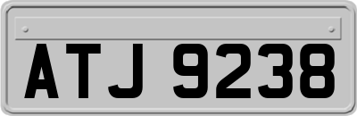 ATJ9238