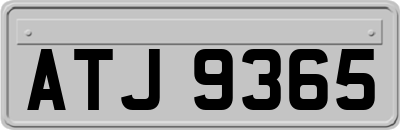 ATJ9365