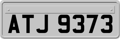 ATJ9373