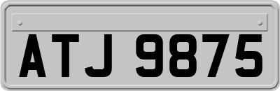 ATJ9875