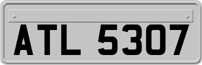 ATL5307