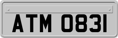 ATM0831