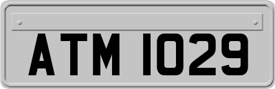 ATM1029