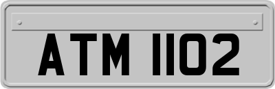 ATM1102