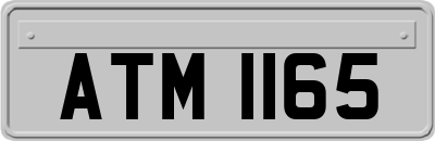 ATM1165