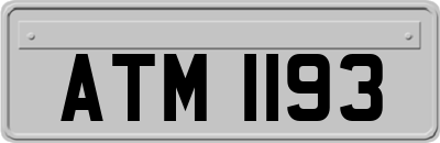 ATM1193