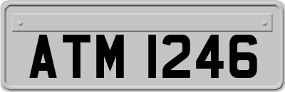 ATM1246