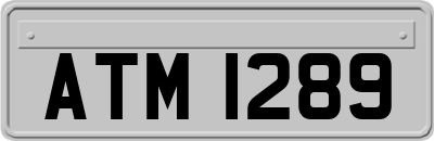 ATM1289