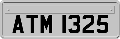 ATM1325